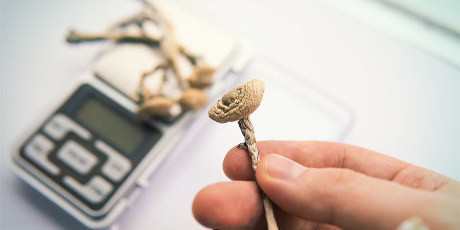 O que fazer se tiveres uma má experiência psicadélica