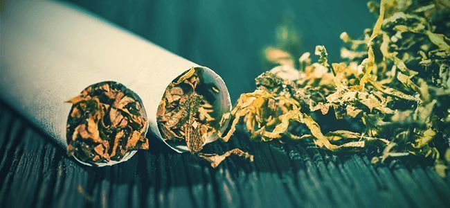As 10 melhores razões para deixar o tabaco e fumar apenas canábis