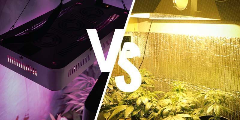 As luzes LED para cultivo são tão eficazes como as HPS?