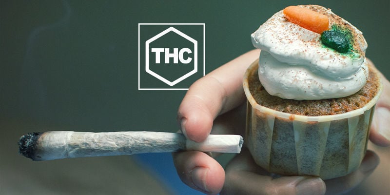 Produção de THC & Grelina