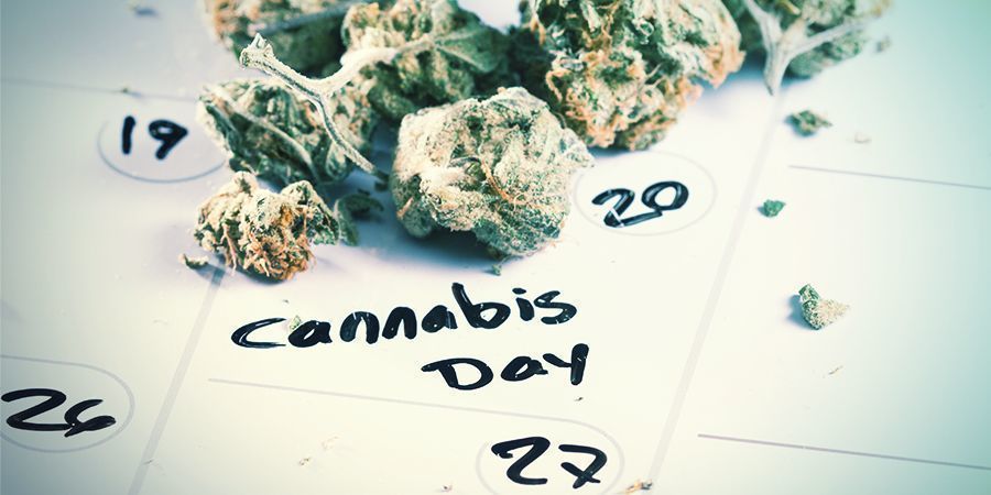 Quando germinar as suas sementes de cannabis