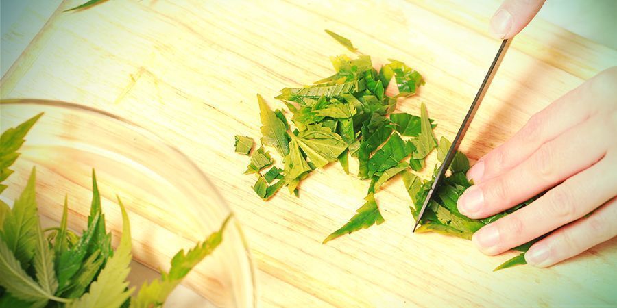 Comer cannabis crua