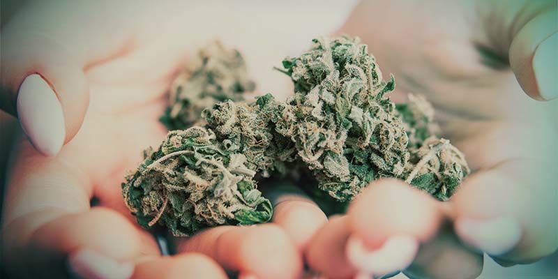 O que são as Popcorn Buds?