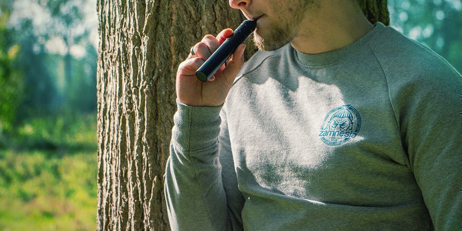 Tudo o que precisa de saber sobre vaporizadores portáteis
