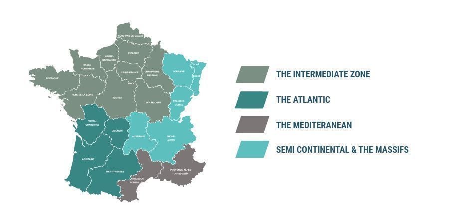 CULTIVO DE CANÁBIS EM FRANÇA