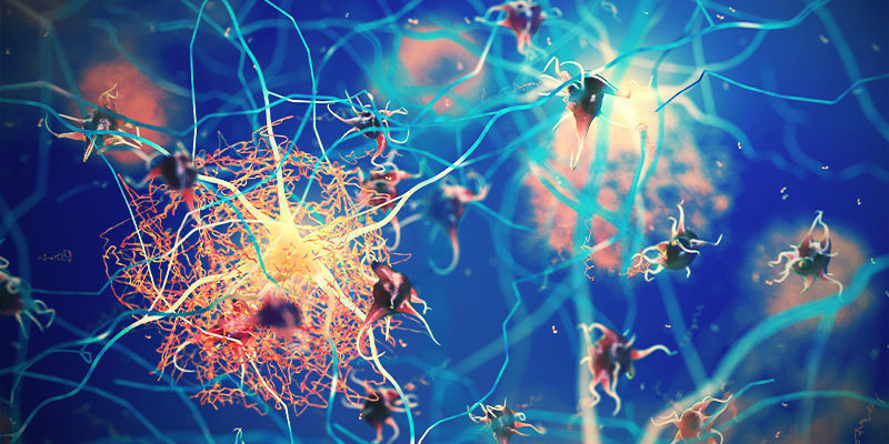 Cannabis e função cognitiva