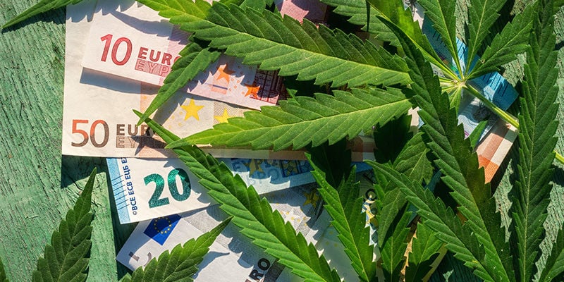 Vantagens de cultivar variedades ricas em CBD: Vai poupar dinheiro em flores de CBD