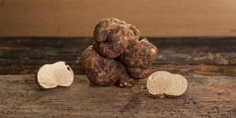 Tome os seus trufas da forma correta