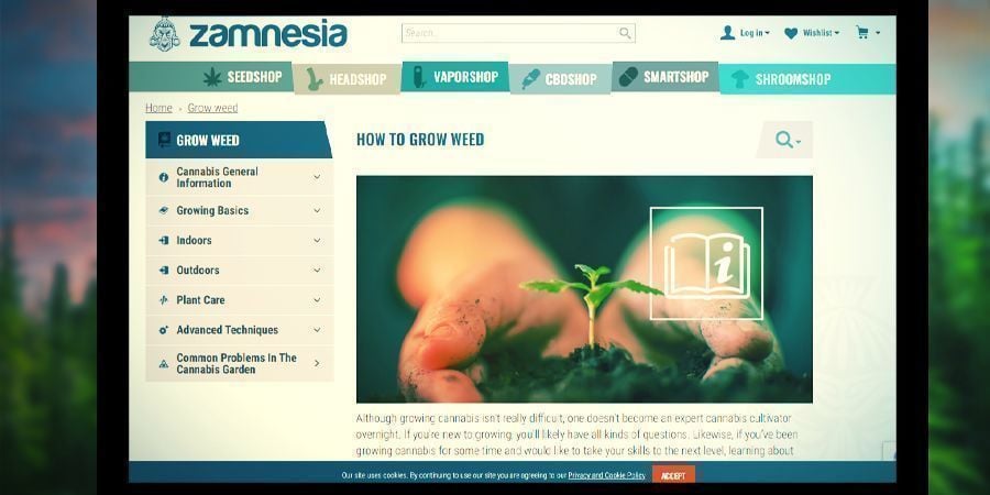 Websites educativos para entusiastas de canábis