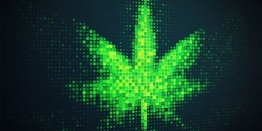 Sempre pedrado, mas nunca aborrecido: a internet é o paraíso dos apreciadores de cannabis