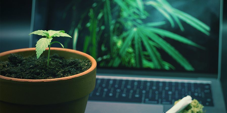 Quais são os melhores sites para quem fuma?
