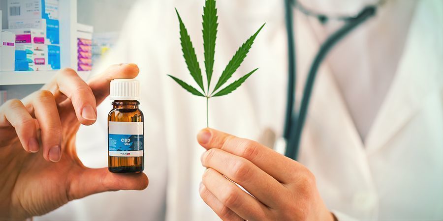 Produtos medicinais no mercado de cannabis uruguaio