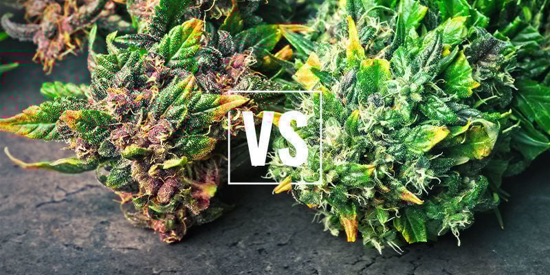 A diferença entre variedades frutadas e doces