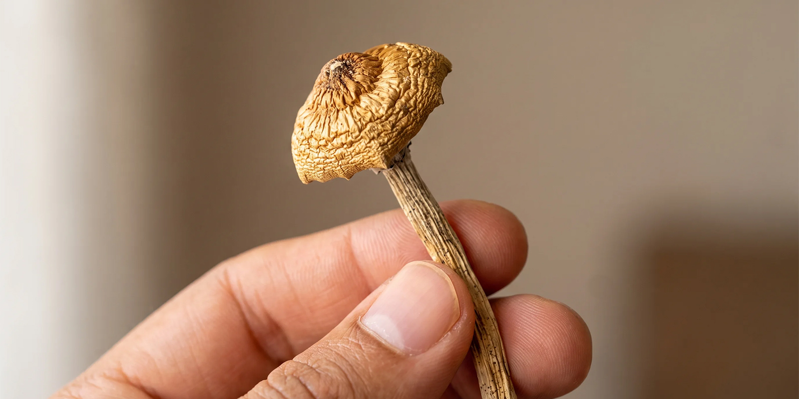 O que significa realmente "droga mais segura"? O que significa realmente "droga mais segura"?