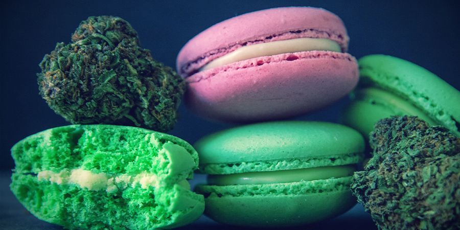 Sativa, Indica ou Híbrida: Existe uma variedade para cada gosto