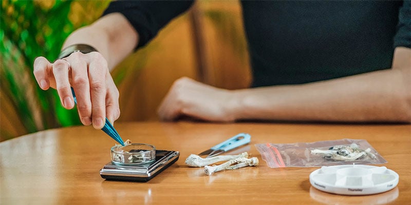 Como dosear cogumelos mágicos para estudar