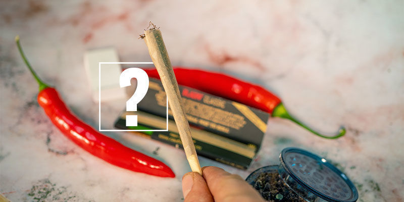 Malaguetas e canábis: a combinação perfeita?