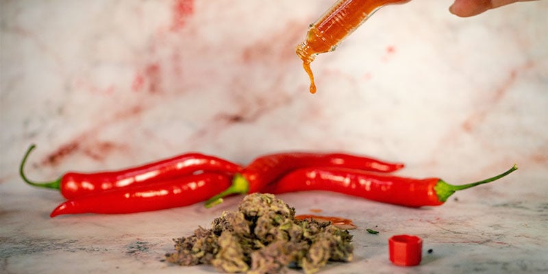Como combinar malaguetas picantes com canábis na alimentação