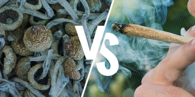 Os efeitos de fumar vs comer cogumelos