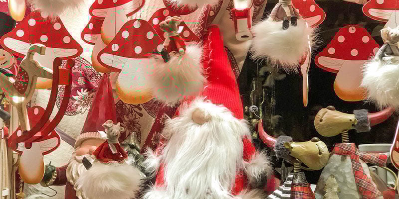 Amanita muscaria e o Natal: mito ou realidade?