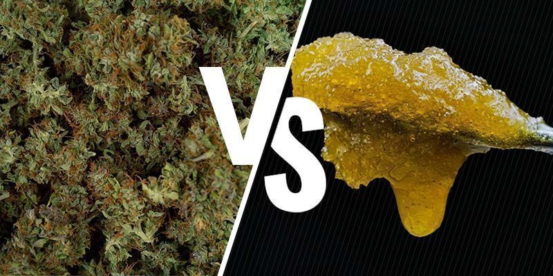 Ervas vs concentrados: uma nota sobre a potência
