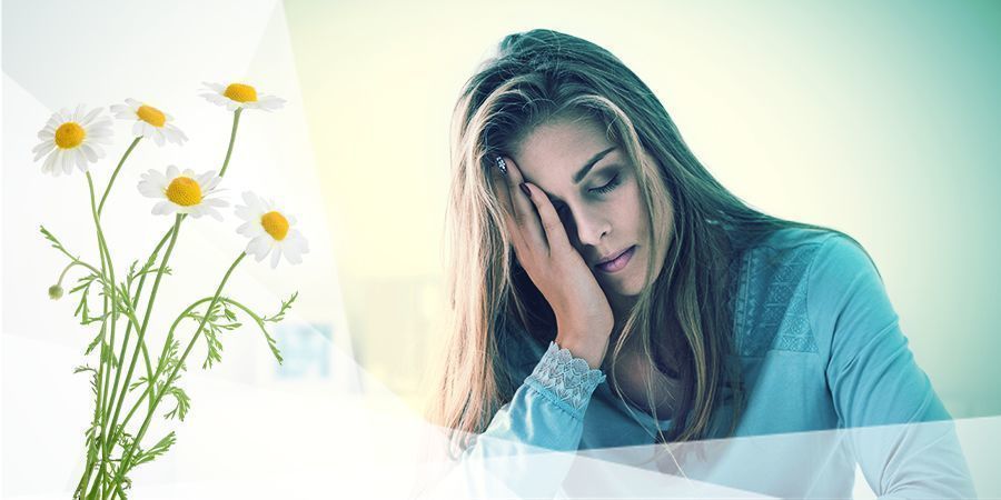 Camomila para relaxamento e sono
