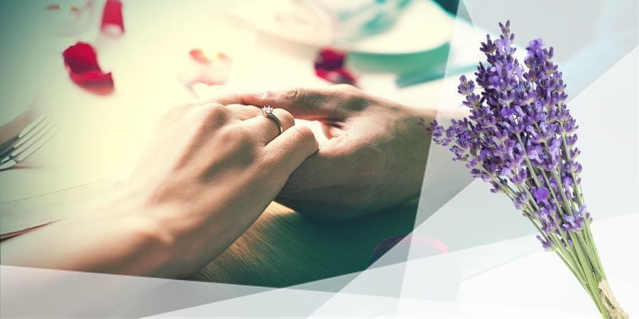 Lavanda para relaxamento e sono