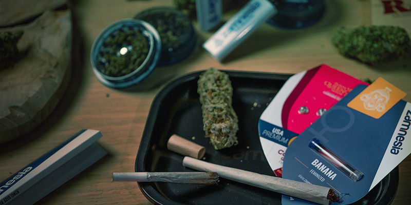 Potencie o efeito da canábis: Variedades com alto teor de THC