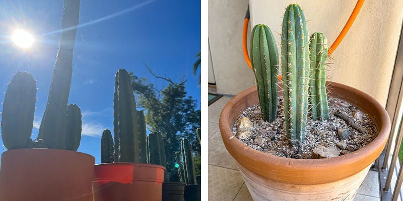 Temperatura e humidade