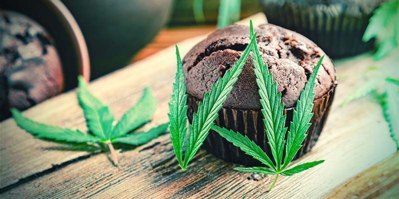 Qualidade dos Comestíveis de Cannabis Comprados em Loja Pode Variar