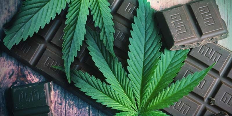 Os princípios dos comestíveis de marijuana