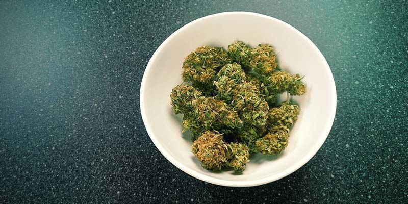 Reidrata os teus Buds de Cannabis: Médio Prazo (Dias)