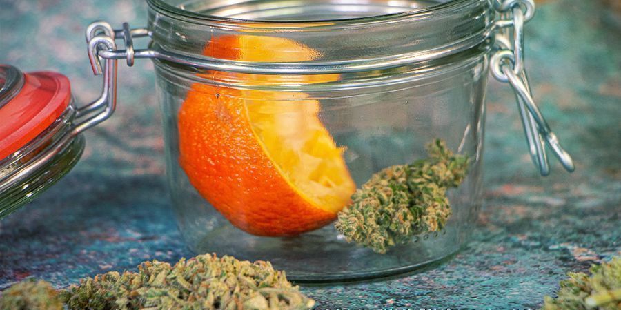 Reidrate as tuas flores de cannabis: cascas de laranja