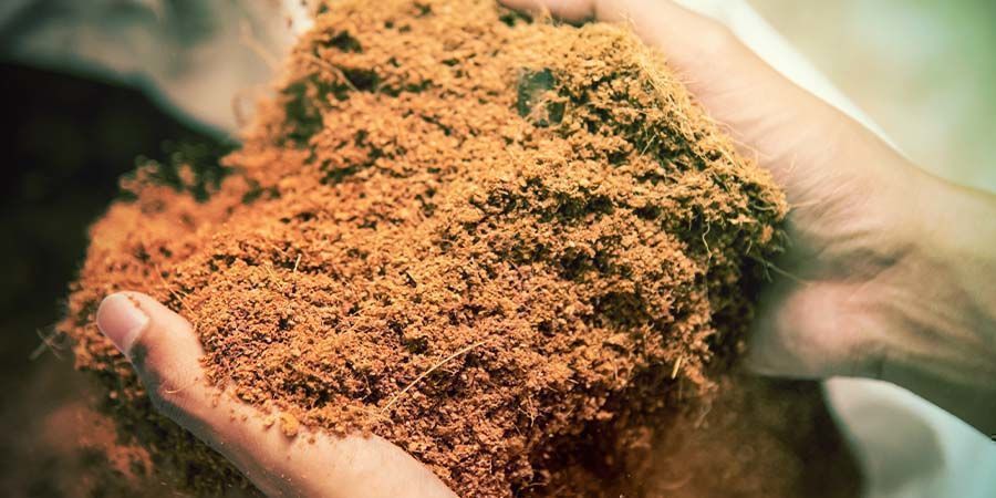 A PREPARAR A FIBRA DE COCO PARA REUTILIZAÇÃO