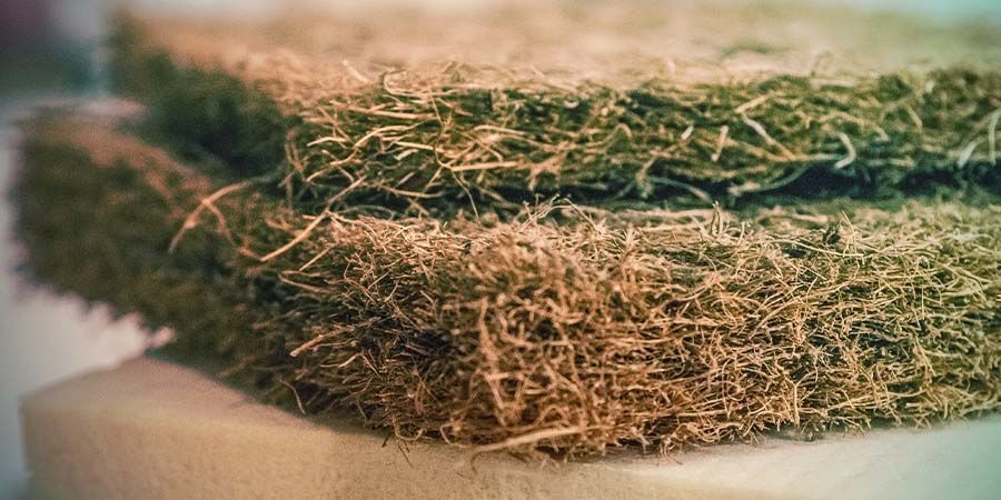 REUTILIZAR FIBRA DE COCO: É POSSÍVEL
