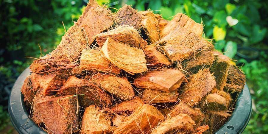 O que é o coco coir?