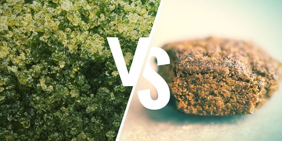 QUE HAXIXE É MELHOR PARA VAPORIZAR? (SECO VS MALEÁVEL)