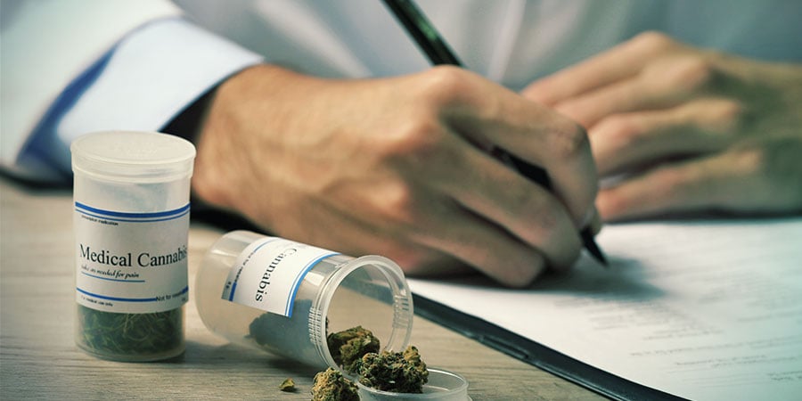 O cannabis está a entrar no campo da medicina
