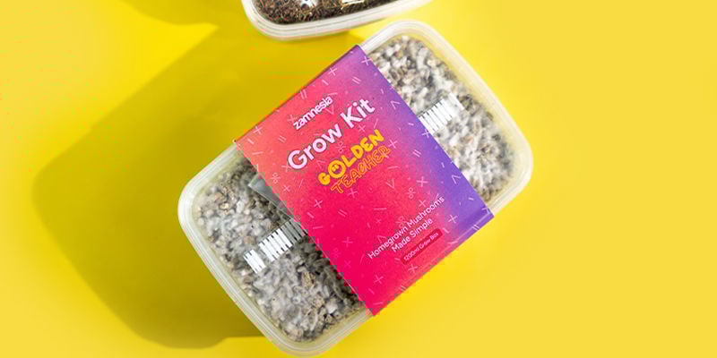 Fresh Mushrooms Grow Kit “Golden Teacher”