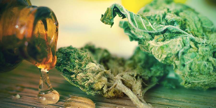 Temperatura ideal para vaporizar óleo de THC puro
