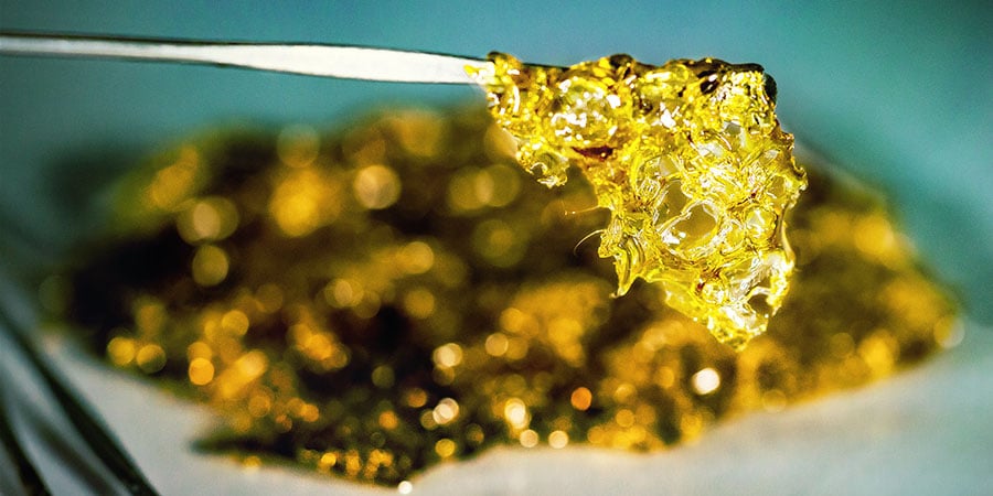 Como fazer BHO a partir de cannabis