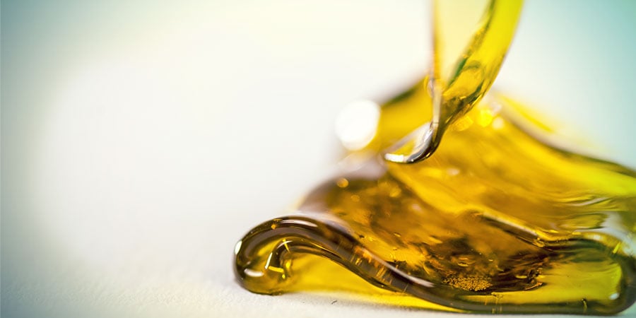 Processo Industrial de Supercrítico de Cannabis
