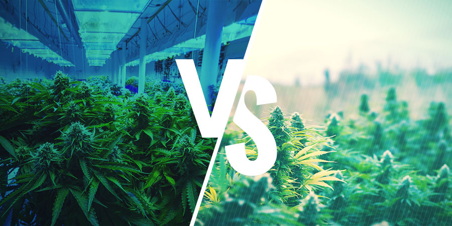 Decidir entre cultivar no interior ou exterior