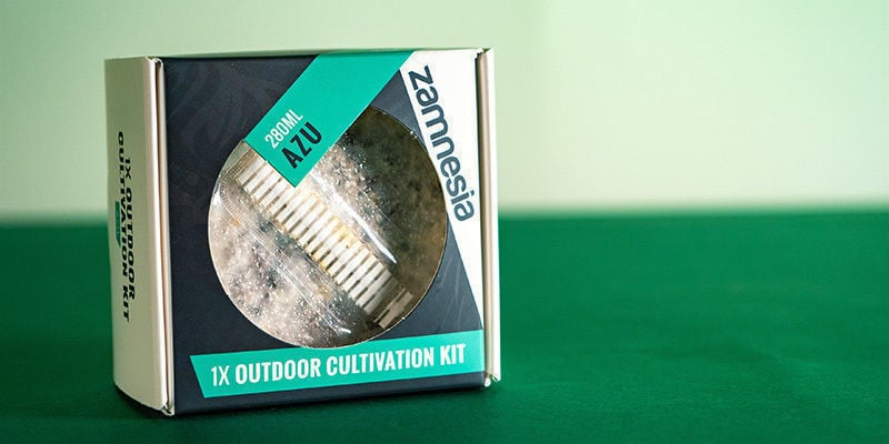 O que é um kit de cultivo no exterior?