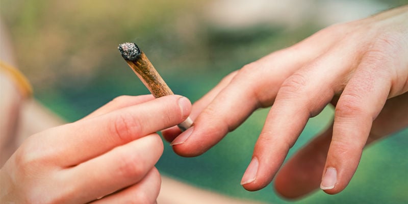 O que é afinal o sistema endocanabinoide?