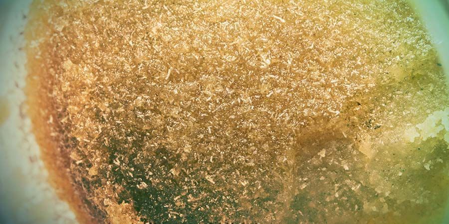 Extrato de Cannabis: Iceolator - Bubble Hash Full-melt