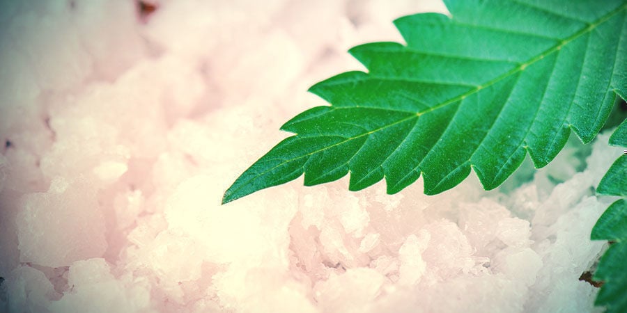Extrato de Cannabis: Cristais de CBD