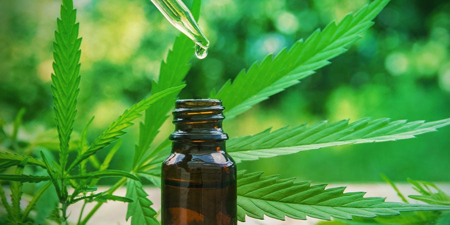 CBD Fix Auto: Cultivadores medicinais, celebrem