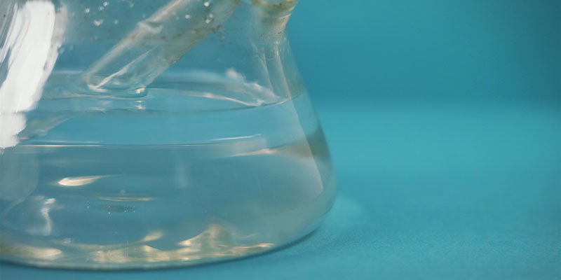 Bongs oferecem filtração de água