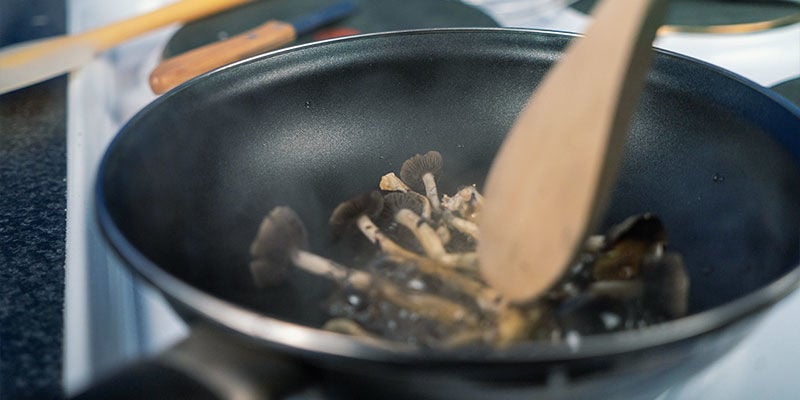 Como a culinária afeta os cogumelos mágicos?